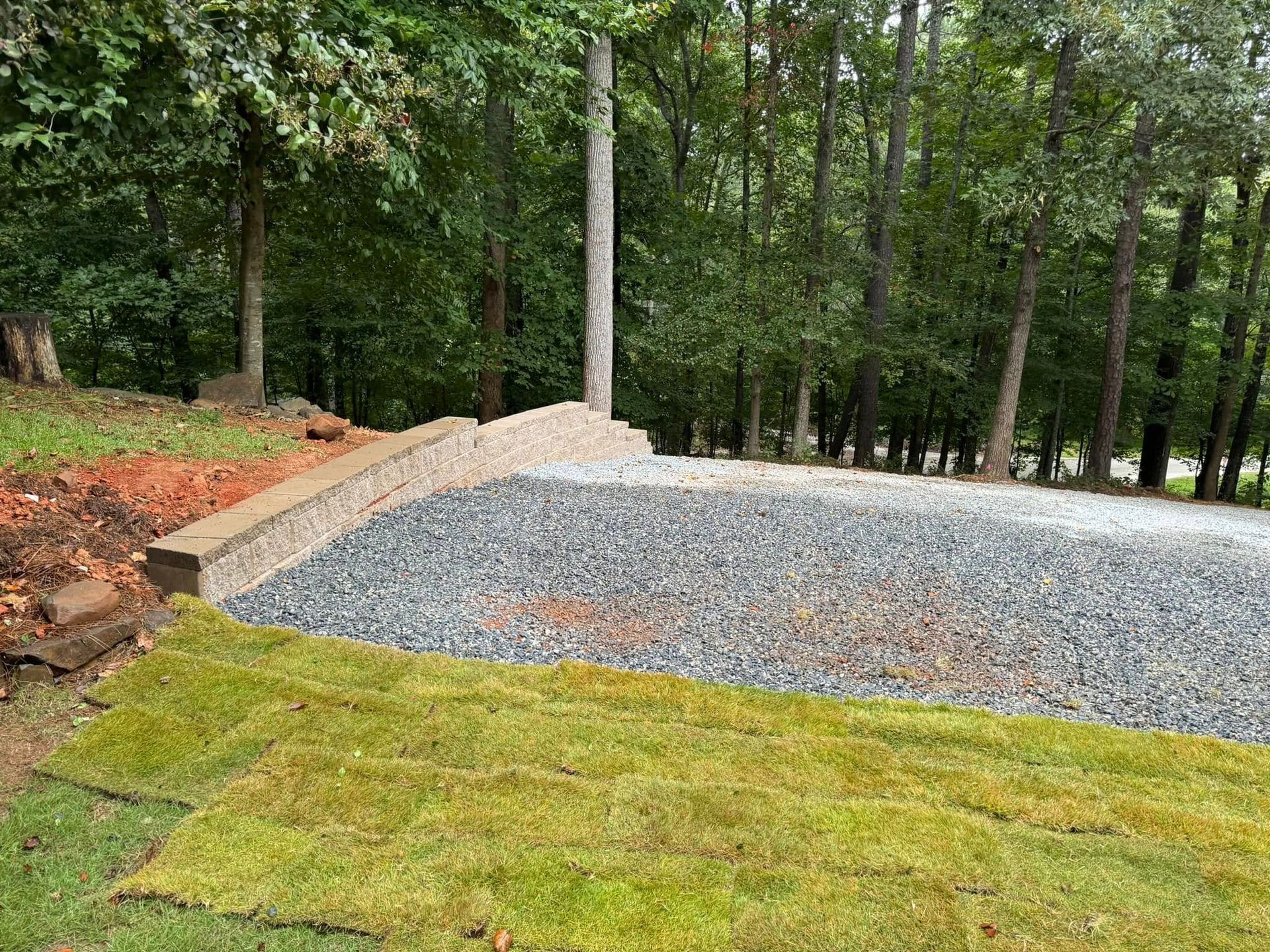 Gravel path bordered by mossy grass leading into a wooded park area
