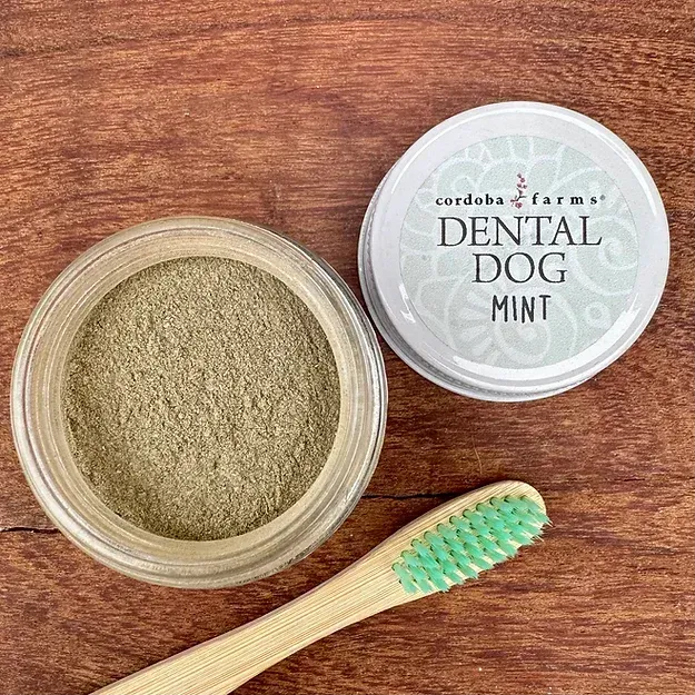 Dental Dog- Mint