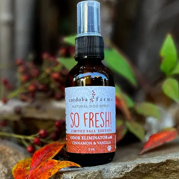 So Fresh! Fall in love