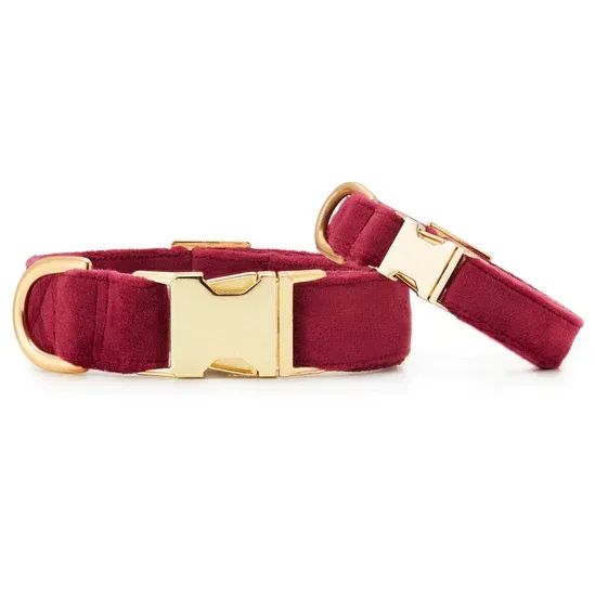 Burgendy Velvet Collar