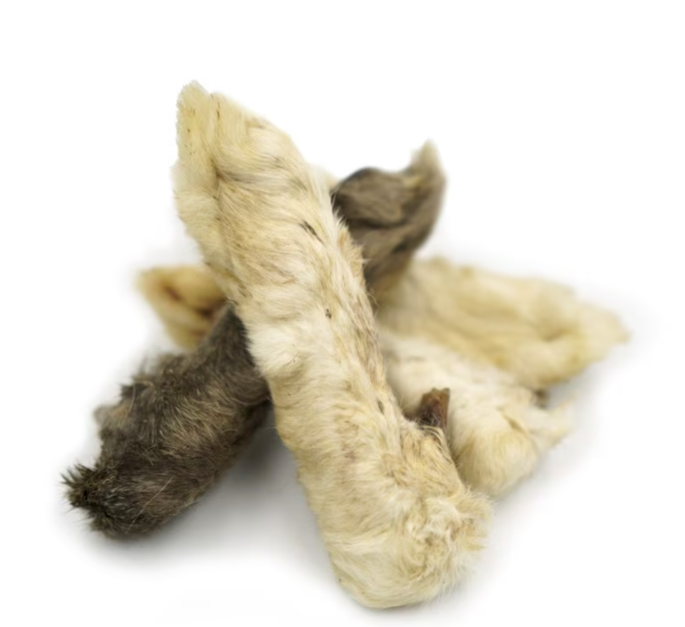 Luck Rabbits Foot