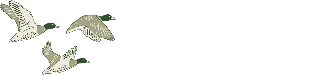Flyway Landing Logo - Select to go home