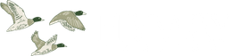 Flyway Landing Logo - Select to go home