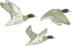 Flyway Landing birds icon