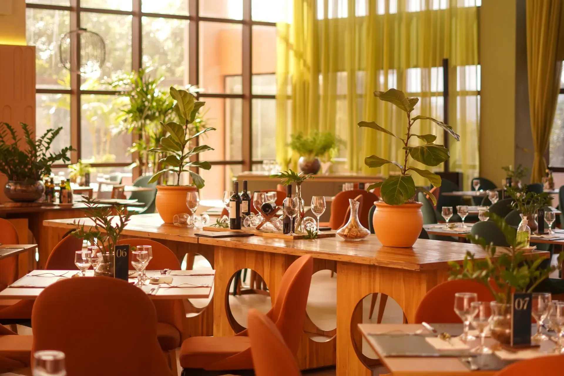 Restaurante ensolarado com mesas de madeira, cadeiras laranja, plantas em vasos e janelas amplas.