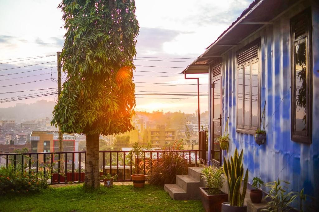 Sunlit blue house porch with potted plants, wooden deck, and garden overlooking a sunset valley