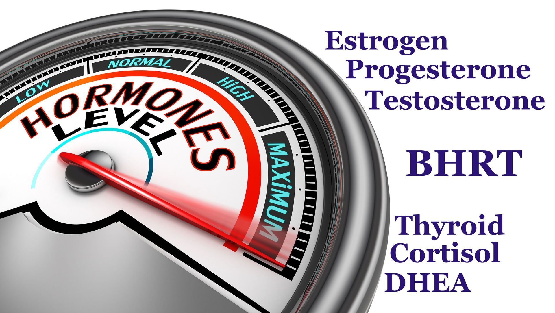 A gauge shows the levels of estrogen progesterone testosterone and thyroid cortisol