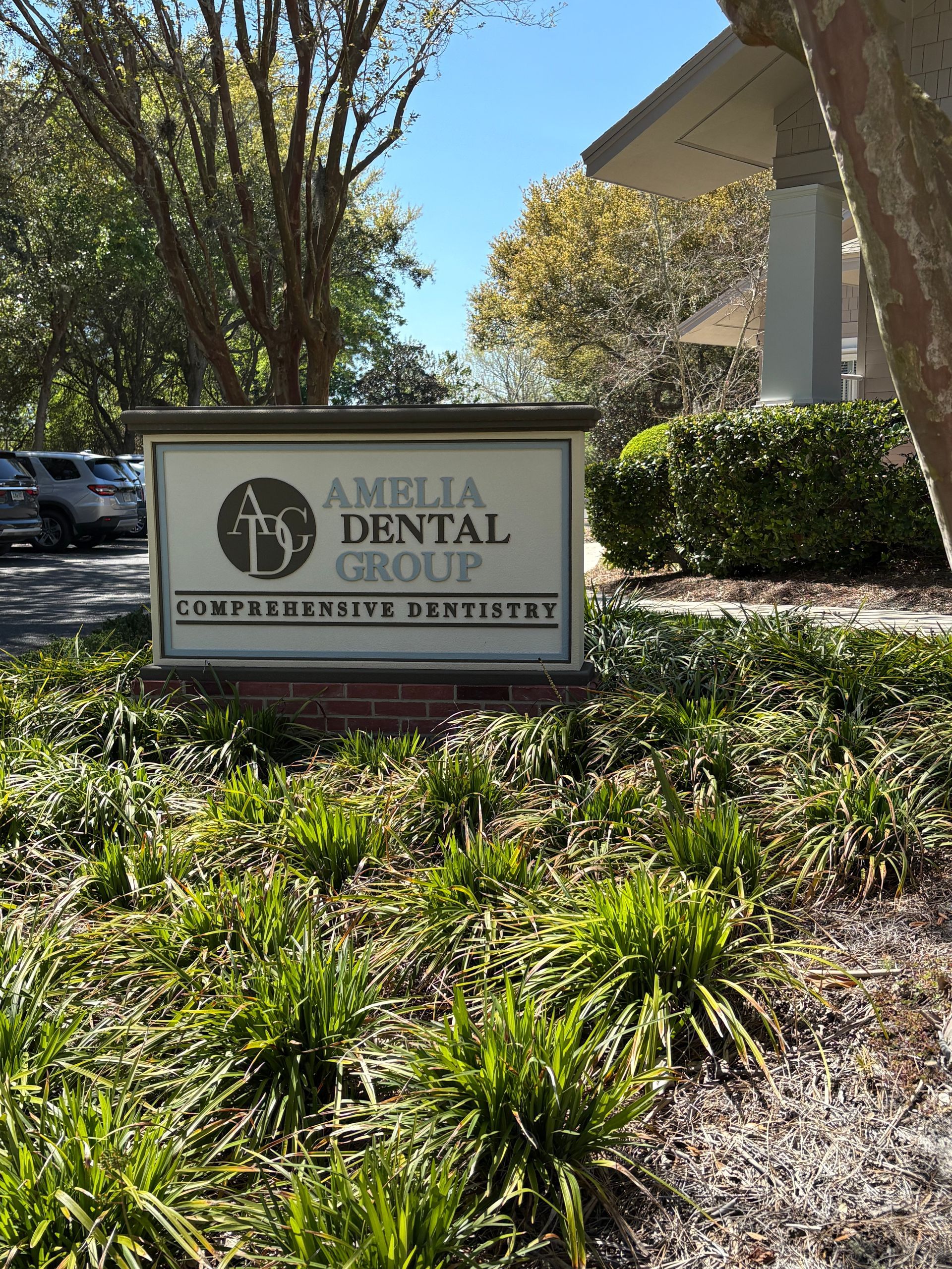 Amelia Dental Group sign beside landscaped greenery on a sunny day