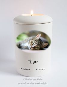 foto urn kat