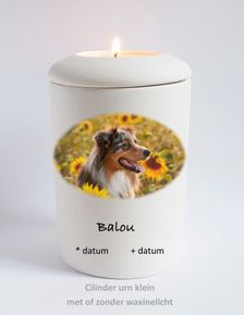 foto urn hond