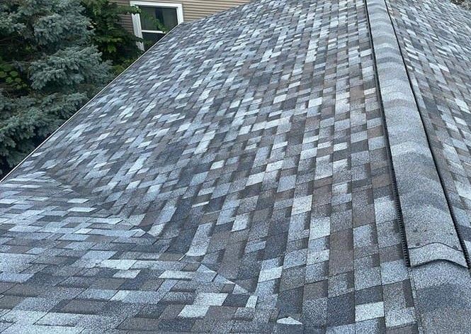 A weathered asphalt shingle roof, gray with some blue and brown, on a house with nearby trees.