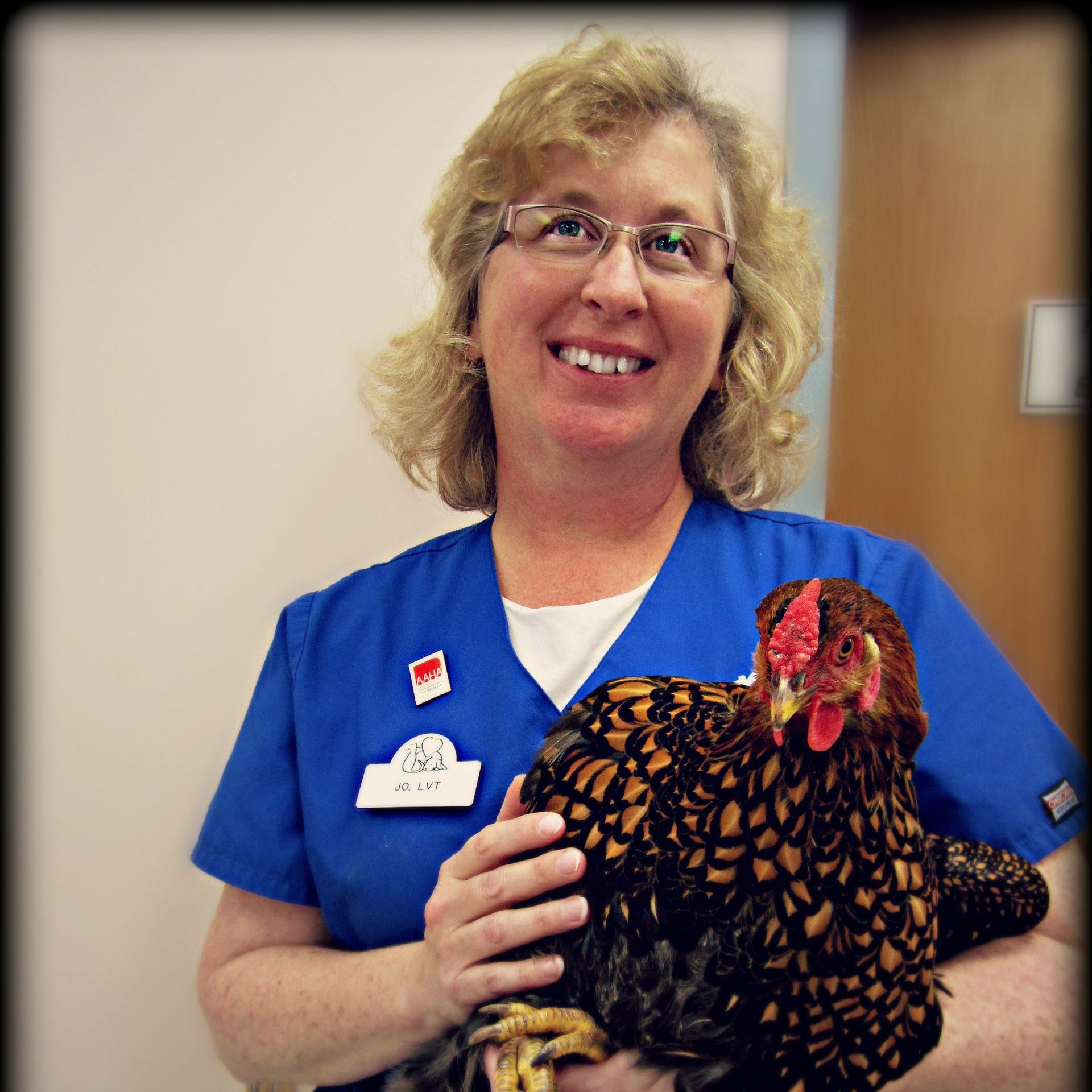 Joann — Fairport, NY — Fairport Animal Hospital