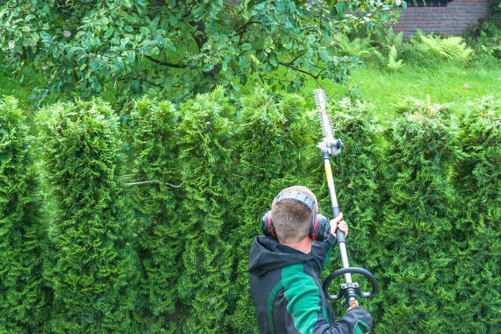 A Man Is Cutting a Hedge with A Hedge Trimmer — CBS Chainsaw & Brushcutter Specialists - HUSQVARNA in Wauchope, NSW
