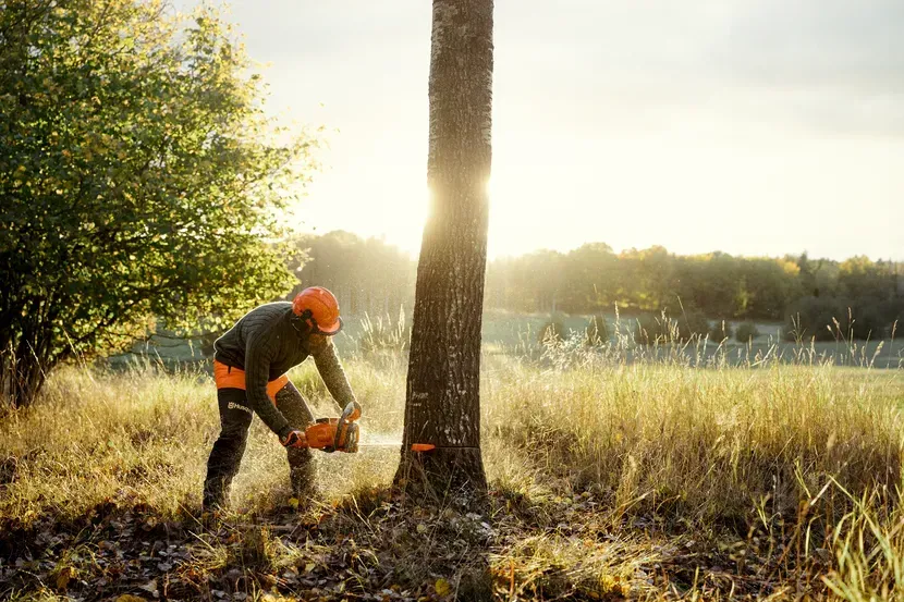 A Man Is Cutting a Tree with A Chainsaw in A Field — CBS Chainsaw & Brushcutter Specialists - HUSQVARNA in Comboyne, NSW