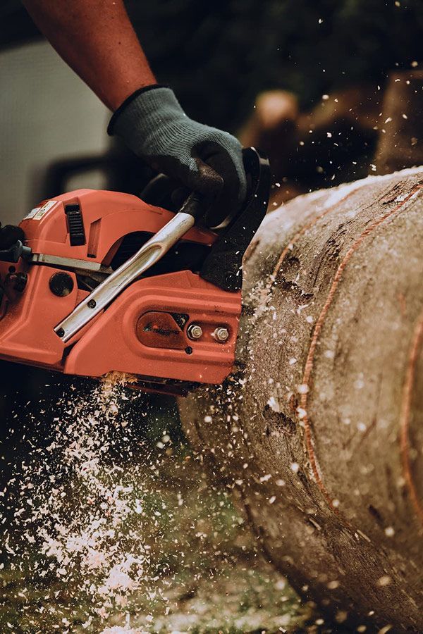 A Person Is Using a Chainsaw to Cut a Log — CBS Chainsaw & Brushcutter Specialists - HUSQVARNA in Laurieton, NSW