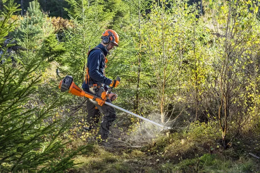 Using A Forestry Clearing Saw — CBS Chainsaw & Brushcutter Specialists - HUSQVARNA in Wauchope, NSW