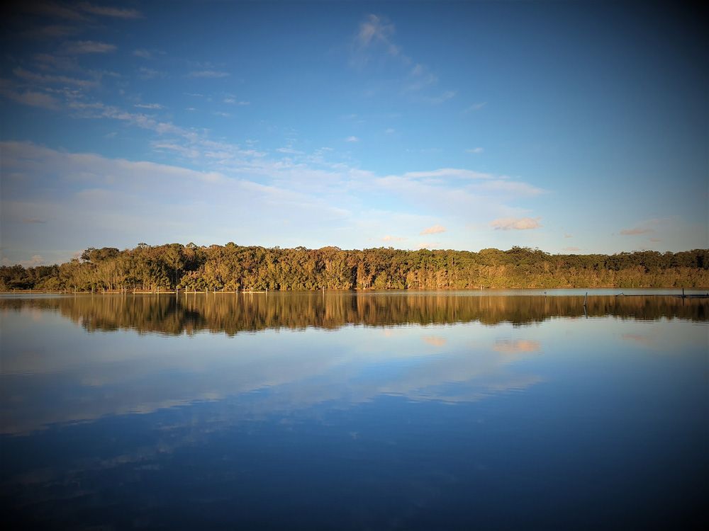 A Large Body of Water With Trees on the Shore and a Blue Sky in the Background — CBS Chainsaw & Brushcutter Specialists - HUSQVARNA in Laurieton, NSW