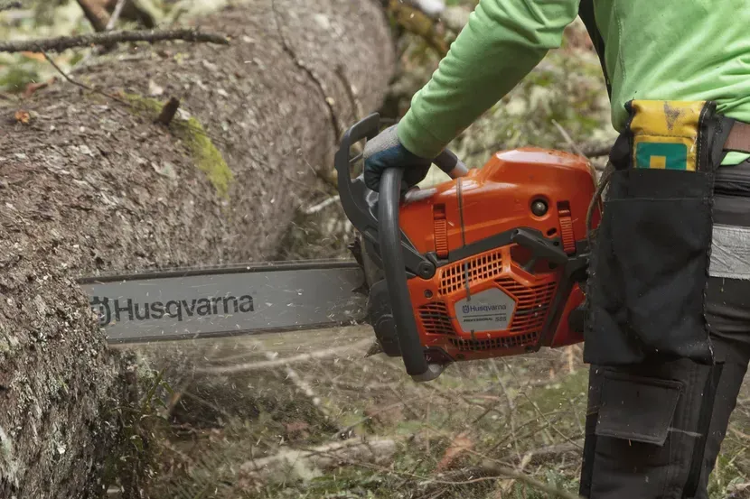 A Person Is Cutting a Tree with A Chainsaw — CBS Chainsaw & Brushcutter Specialists - HUSQVARNA in Telegraph Point, NSW