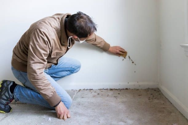A man is kneeling down and cleaning a wall with a sponge.