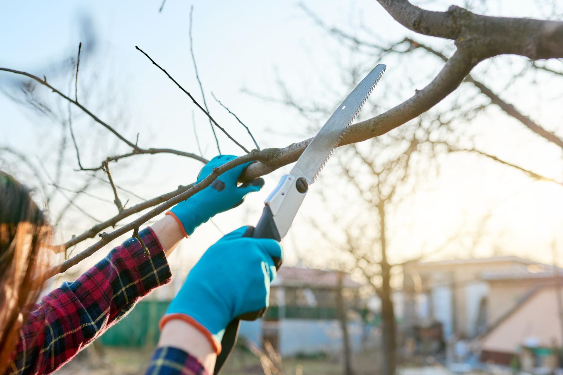A woman is cutting a tree branch with a saw.