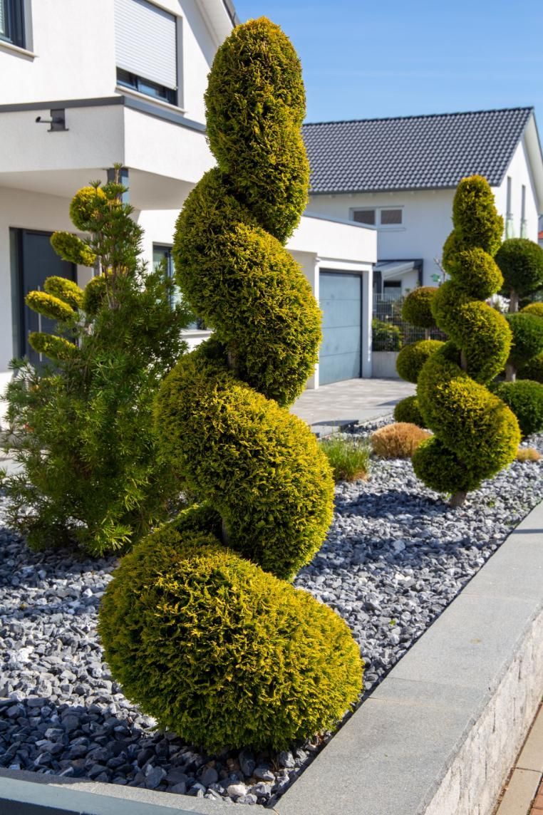 A row of trees in a garden in front of a house.