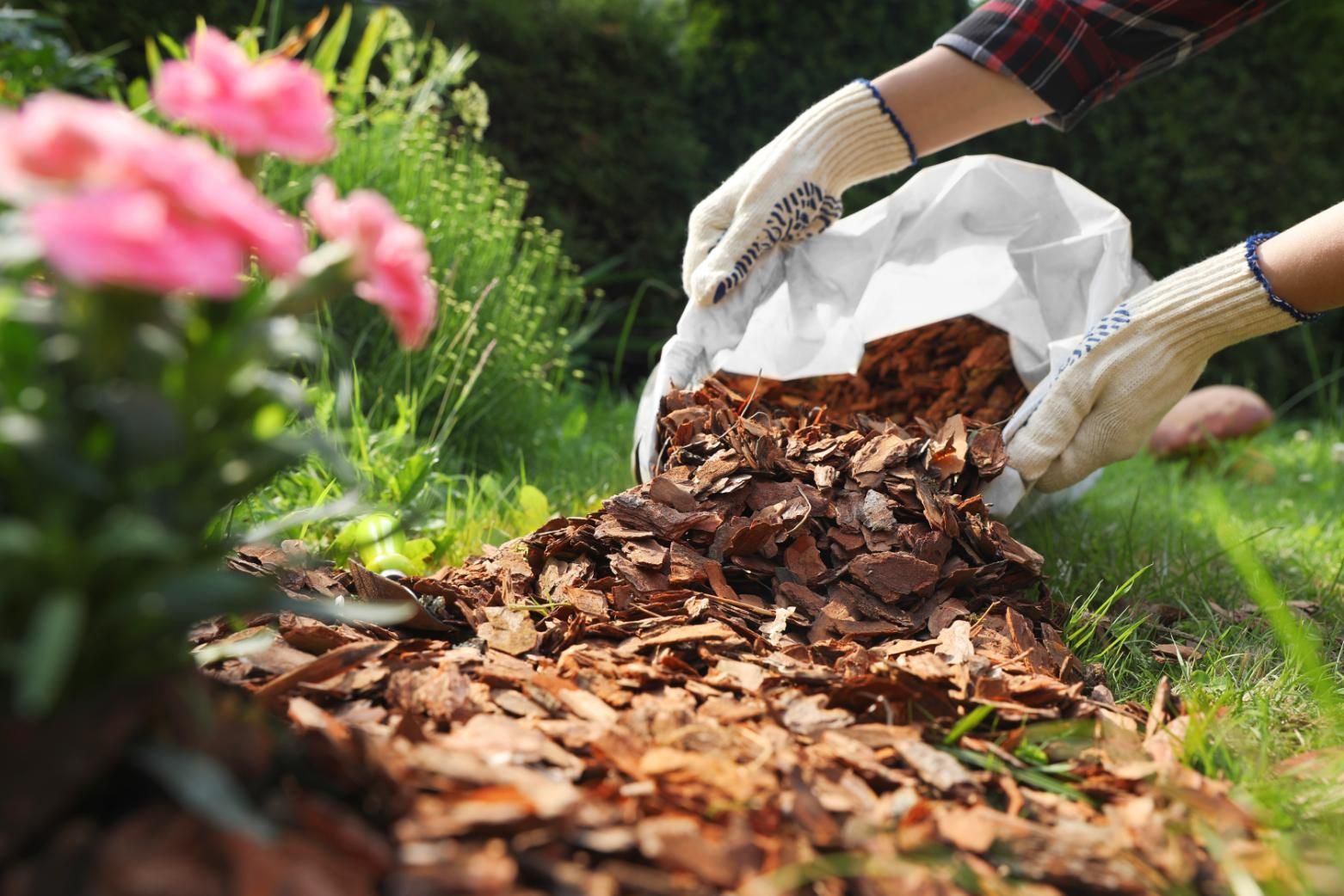 A person is spreading mulch in a garden.
