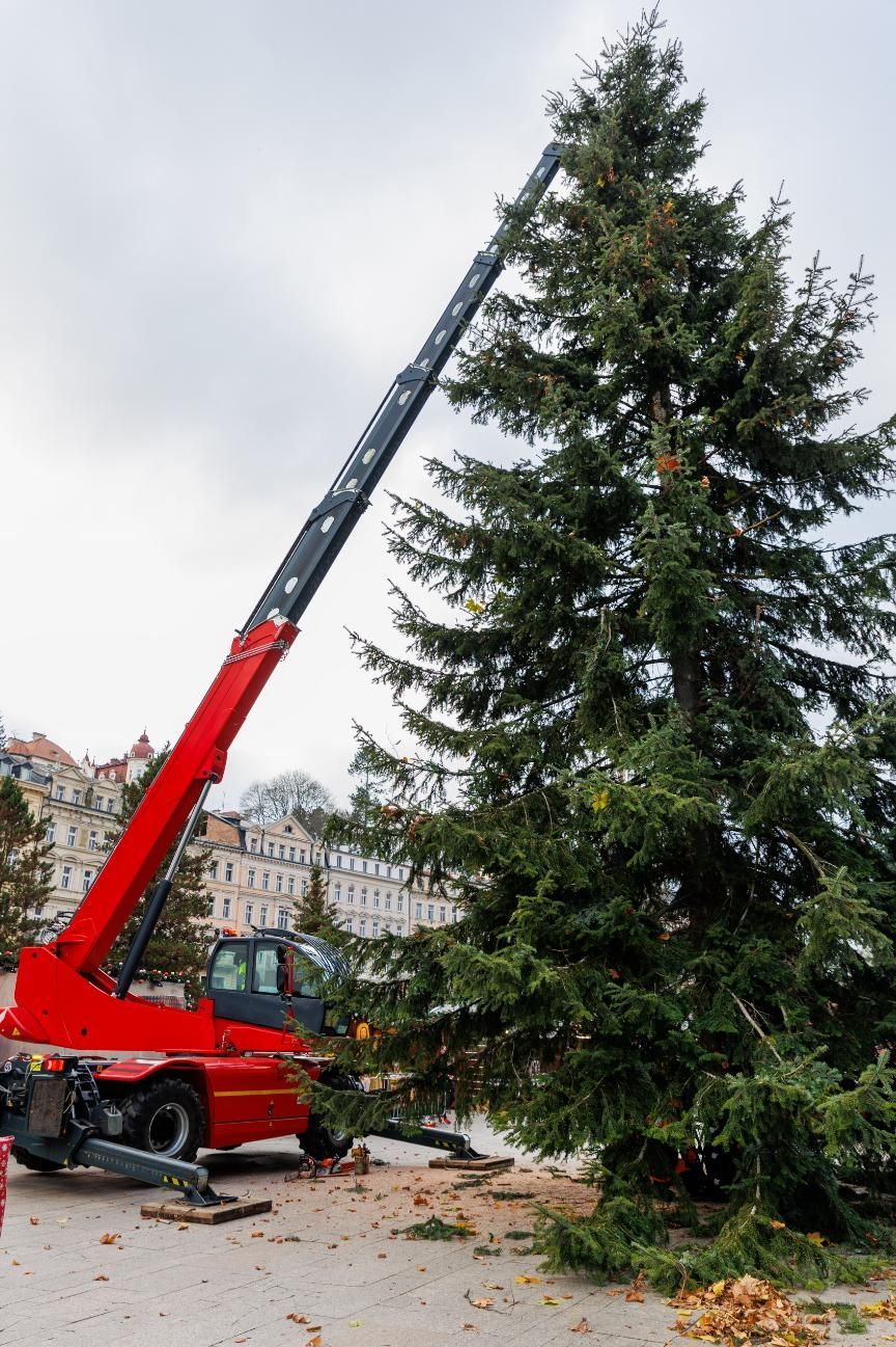 A crane is lifting a christmas tree in the air.