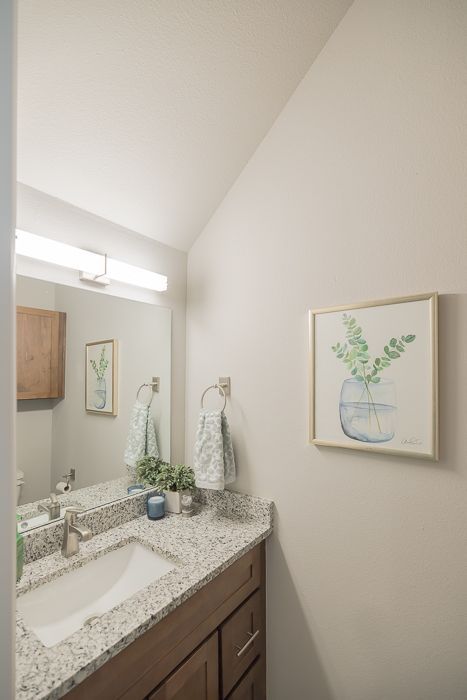 Bathroom with granite countertop, wooden cabinets, large mirror, and a watercolor painting of greenery.