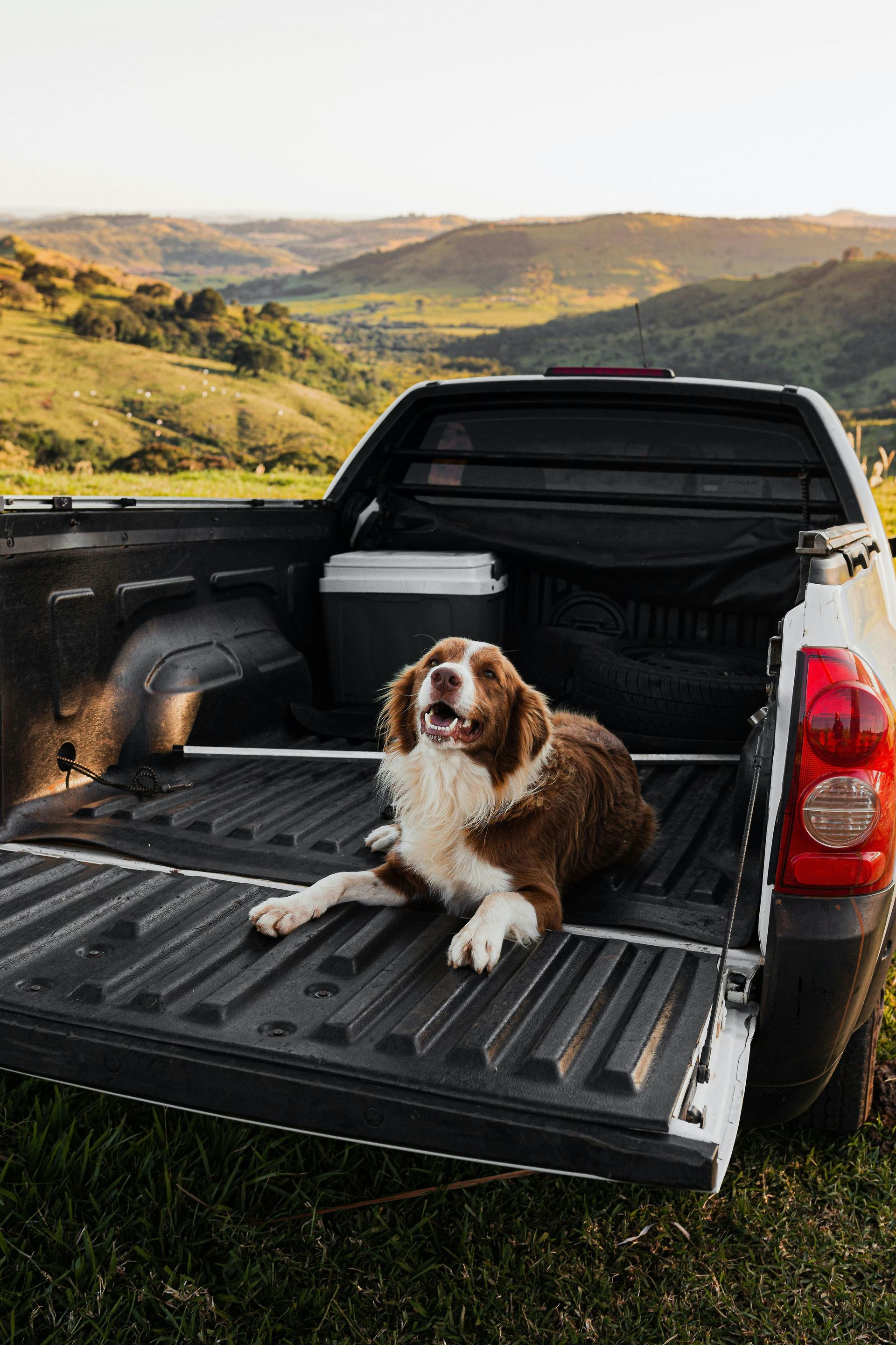 Spray-In Bedliner