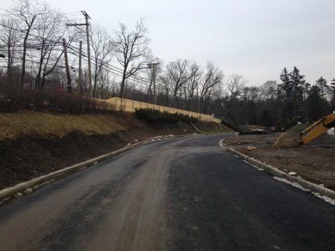 A road with a lot of trees on the side of it