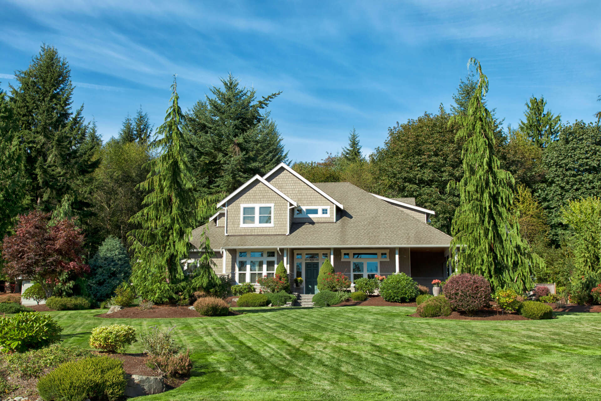 house yard with trees
