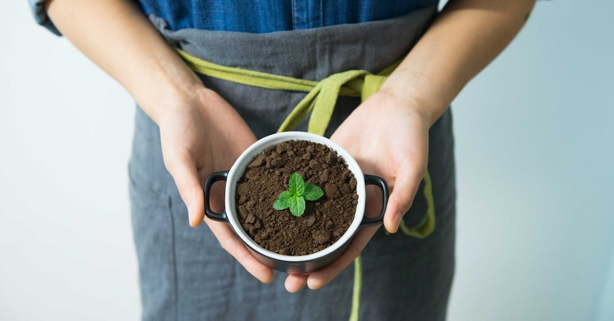 mini soil