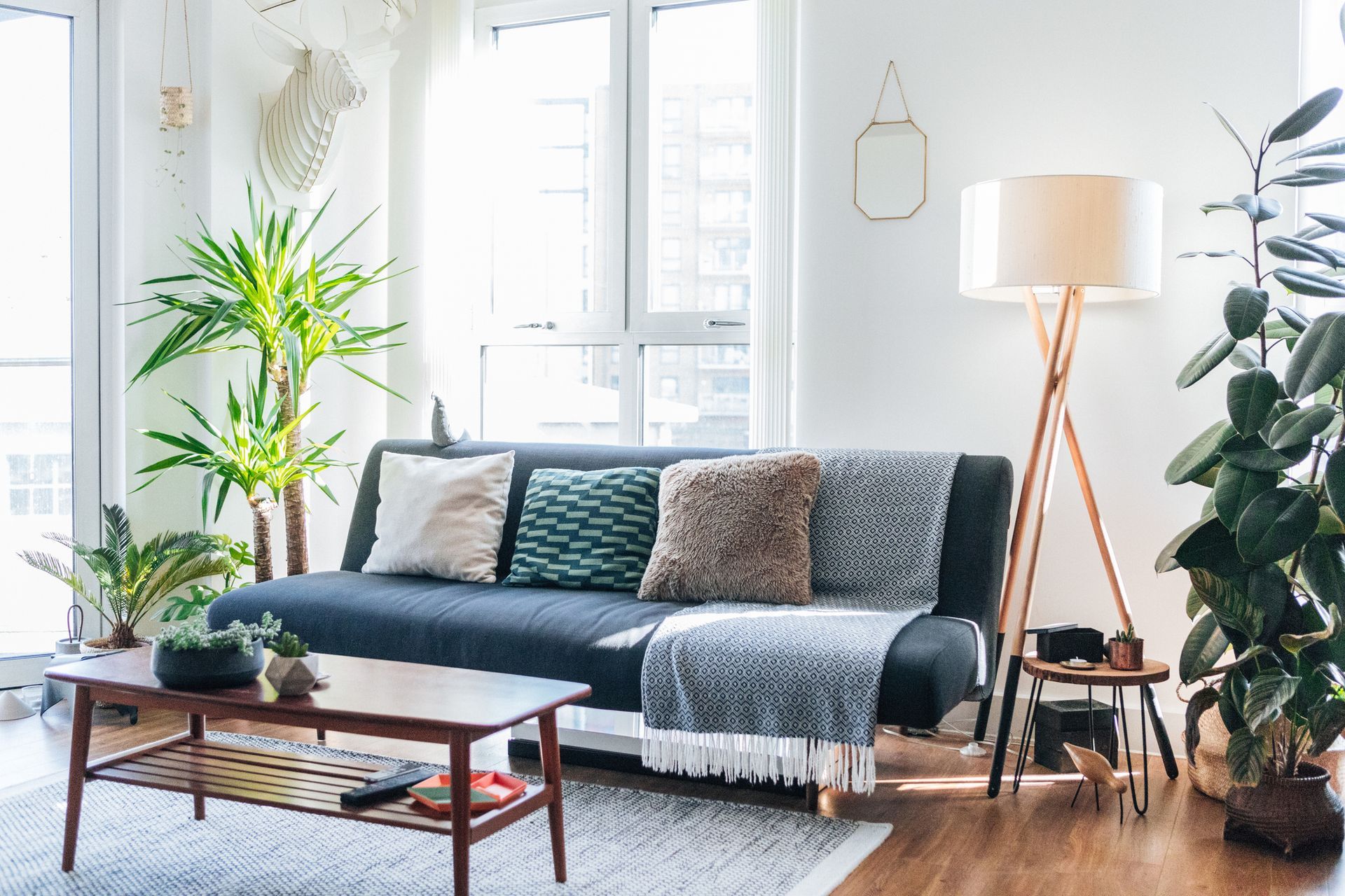 A living room with a couch , coffee table , lamp and plants.