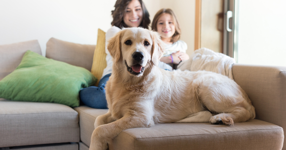 A woman and a child are sitting on a couch with a dog. Valparaiso, IN