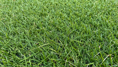 Detailed view of lush Artificial Grass in Kent, WA displaying dense turf texture and natural green color year-round.