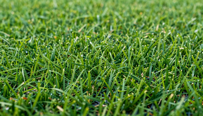 Macro view of Artificial Grass in Kent, WA featuring realistic synthetic blades for beautiful low-maintenance lawns.