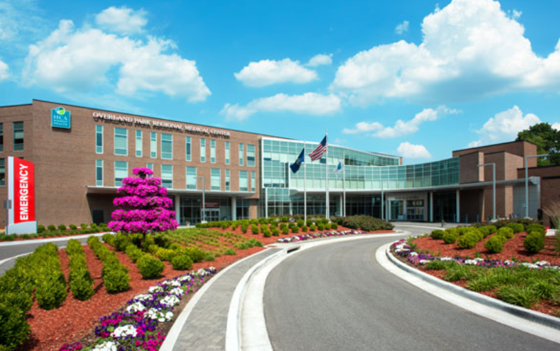 Modern hospital entrance with curved driveway, red flowers, and a bright pink tree under a blue sky