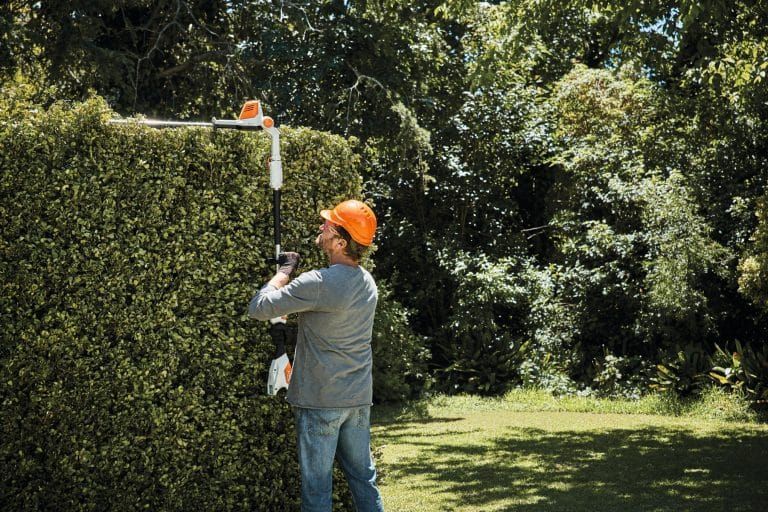A Man is Cutting a Hedge With a Hedge Trimmer — Hamblin Hire in Albury, NSW