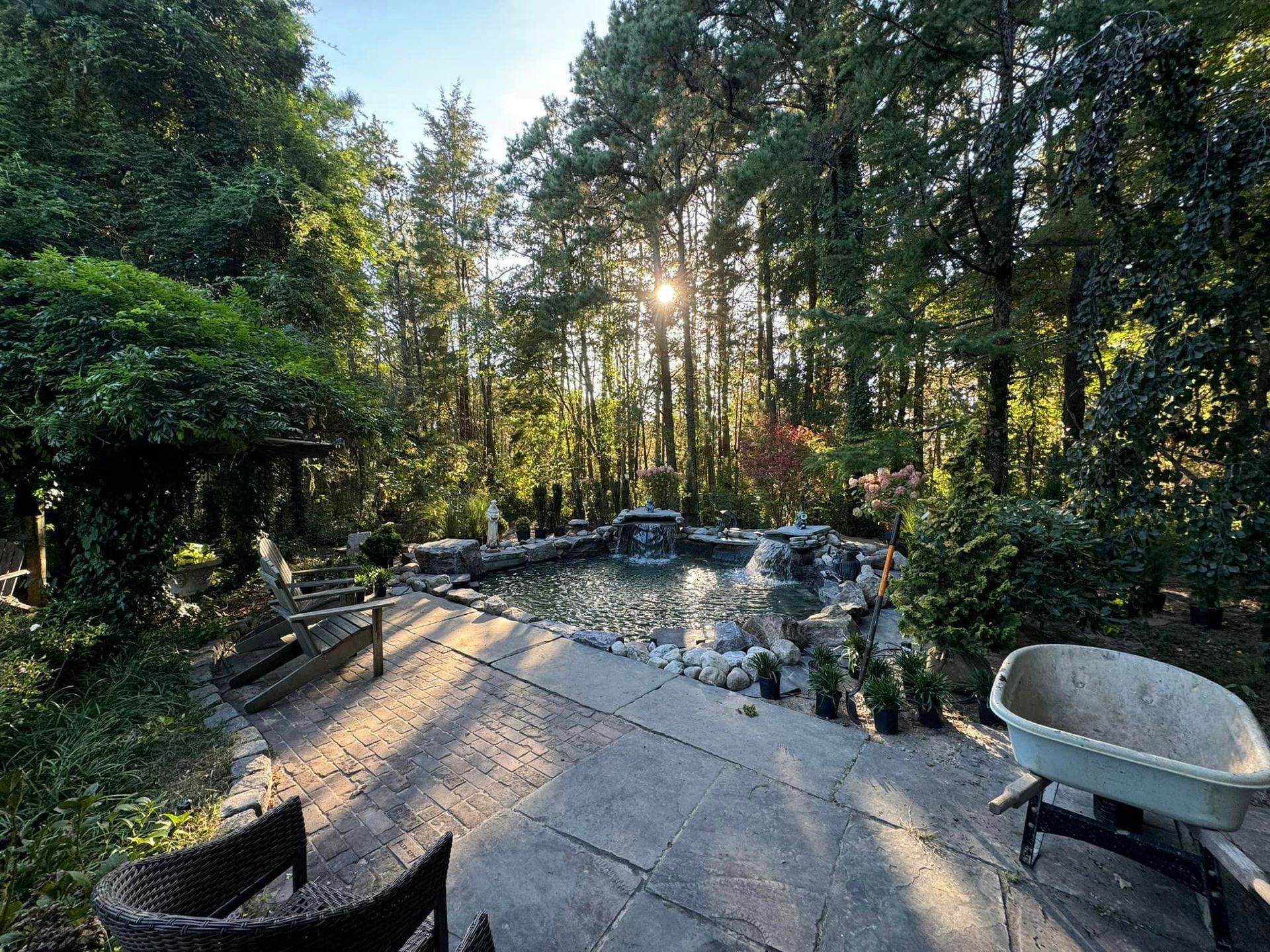 Sunlit backyard with a pond, surrounded by trees and lush greenery. Includes a concrete patio and a wheelbarrow.