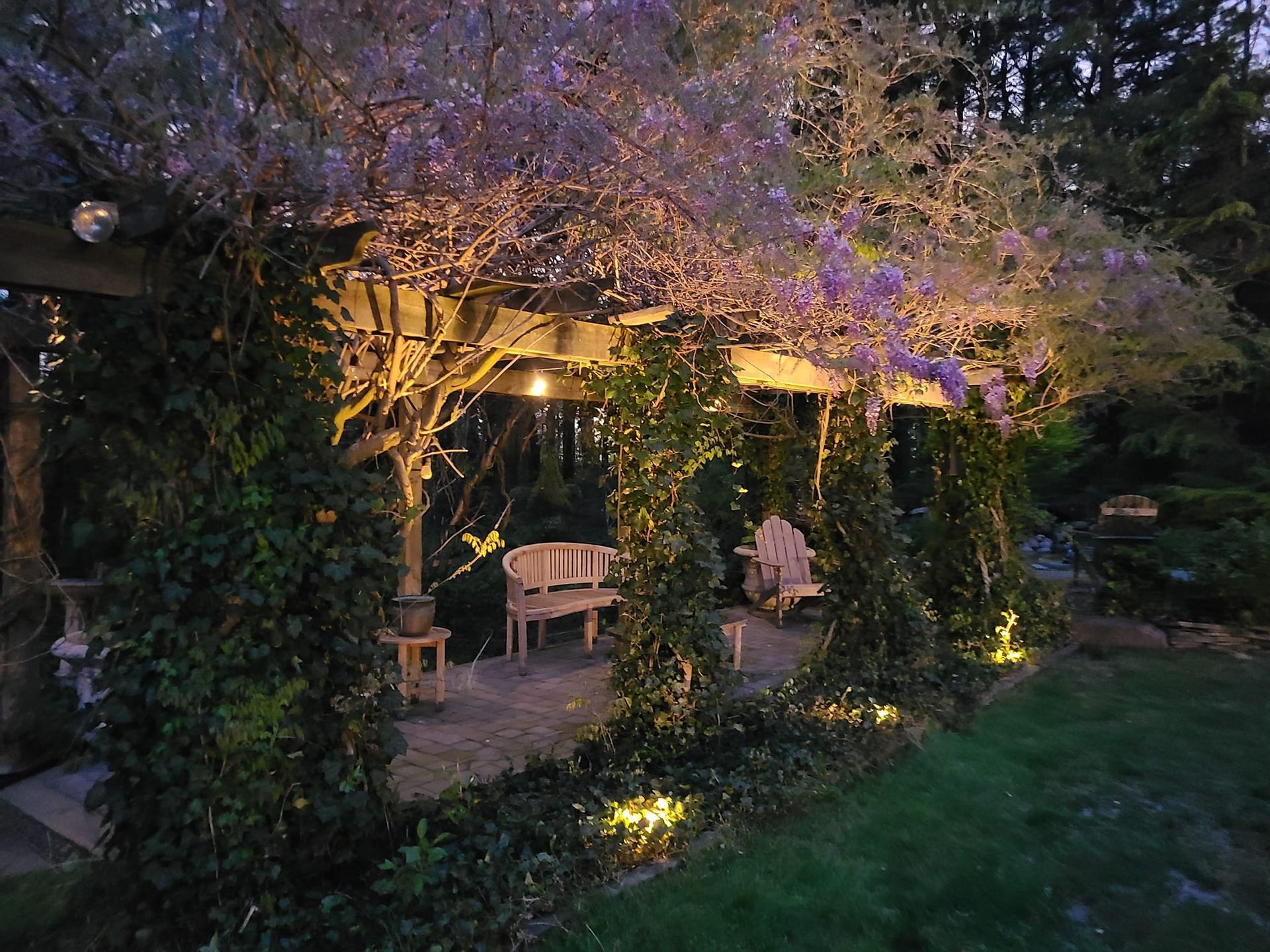 Pergola with wisteria flowers and lighting, providing seating in a garden setting at dusk.