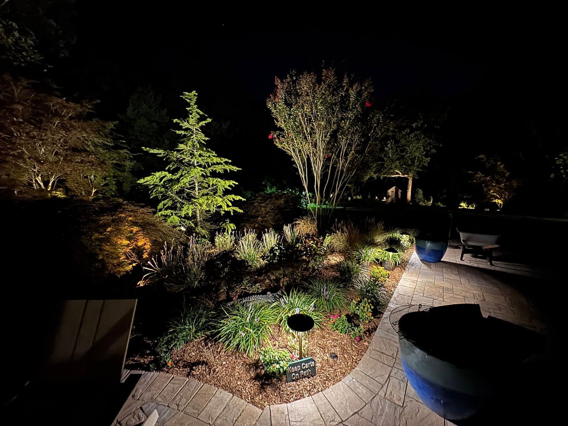 Night garden with illuminated plants and pathway.