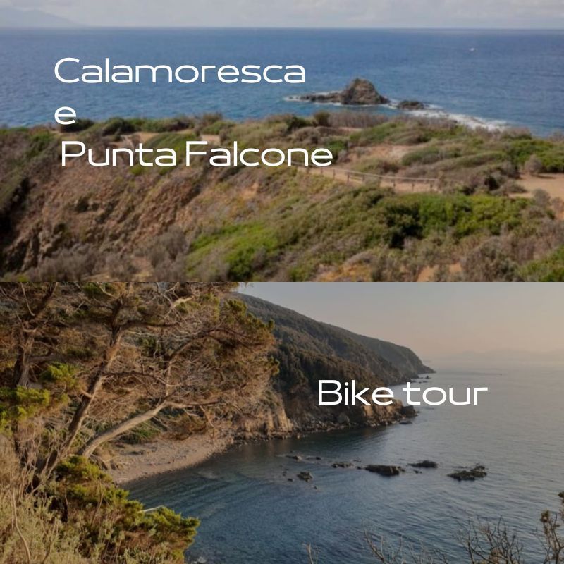 Bike Tour a Calamoresca e Punta Falcone