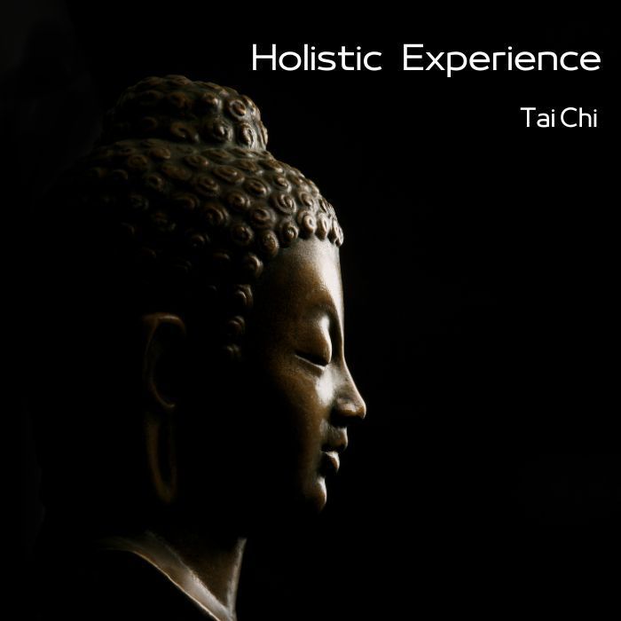 Holistic Experience
Tai Chi