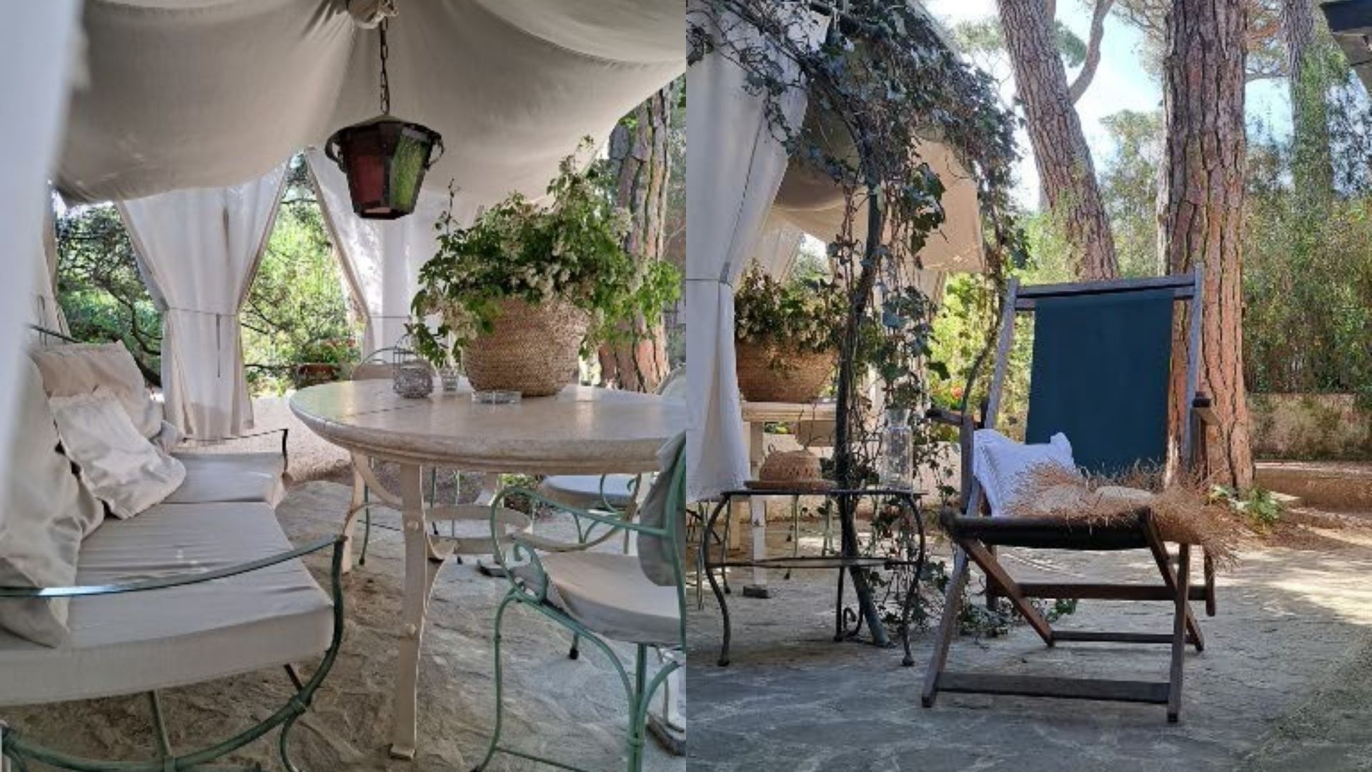 Villa Camelia nella pineta di Marina di Castagneto Carducci