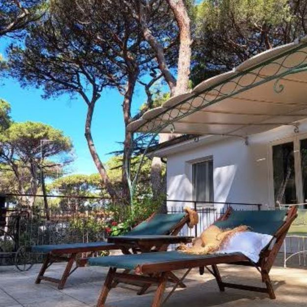 La casa sugli alberi