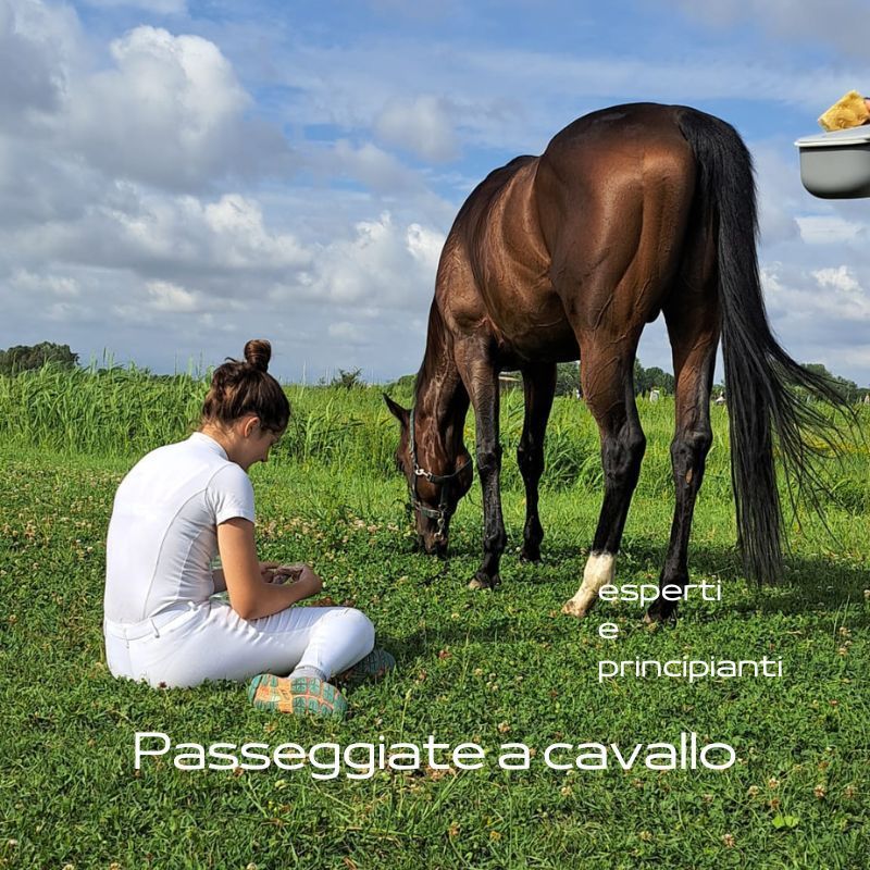 Passeggiate a cavallo
