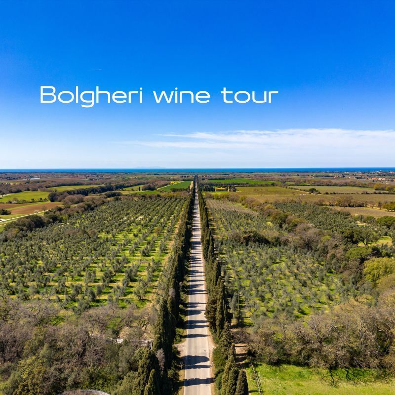 Bolgheri wine tour