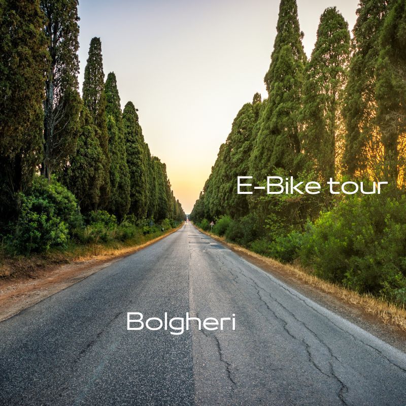 Bike tour Bolgheri