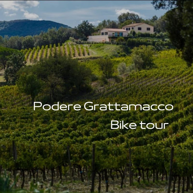 Bike e degustazione Cantina Grattamacco