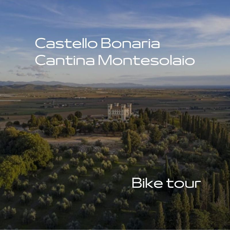 Bike e degustazione: Montesolaio e Castello Bonaria